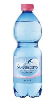 Вода минеральная негазированная San Benedetto 0,5 л.